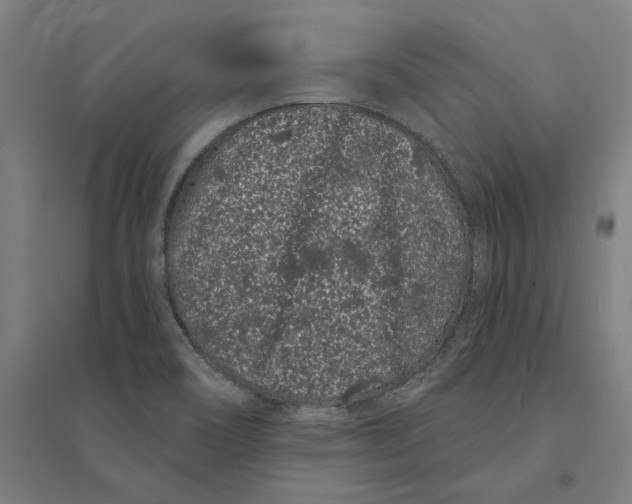 X0000095131466200712301813