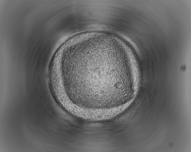 X0000095131467200712301813