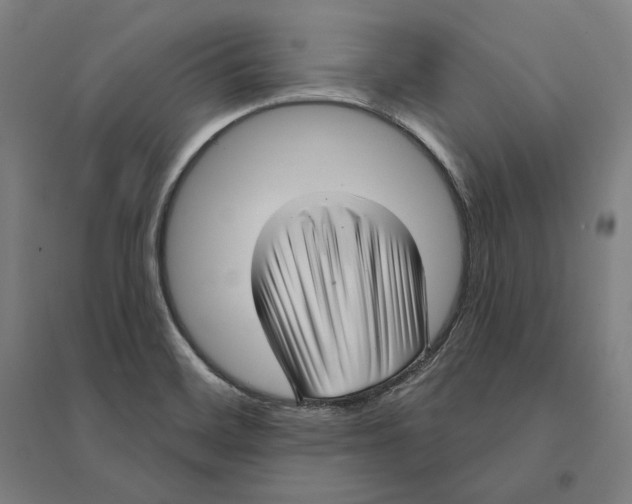 X0000095131468200712301813