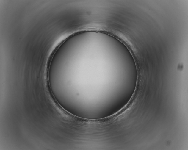 X0000095131469200712301813