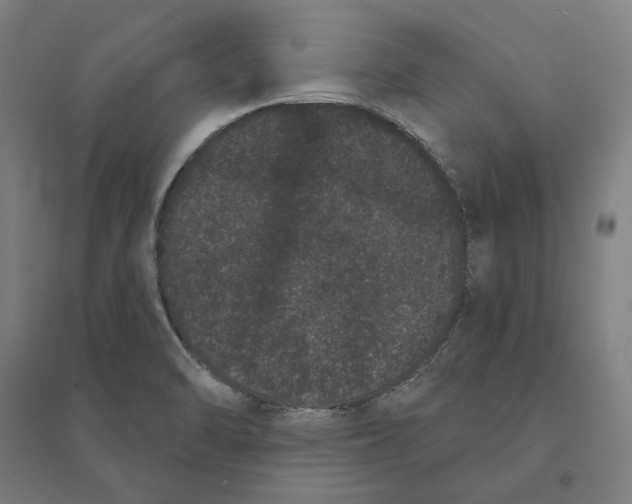 X0000095131470200712301813