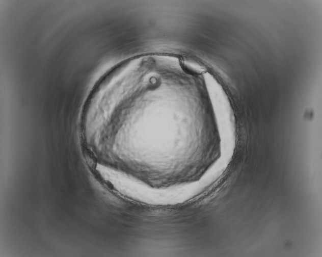 X0000095131471200712301813