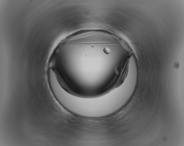 X0000095131472200712301813