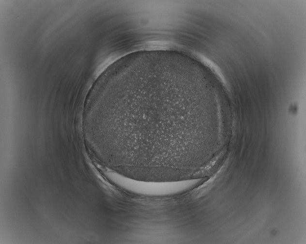 X0000095131473200712301813