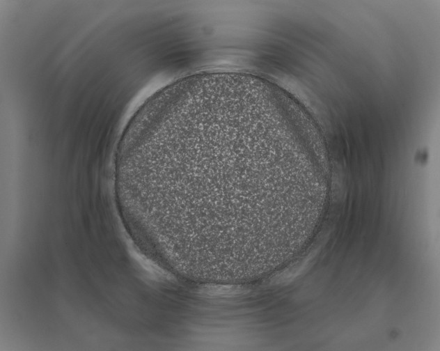 X0000095131474200712301813