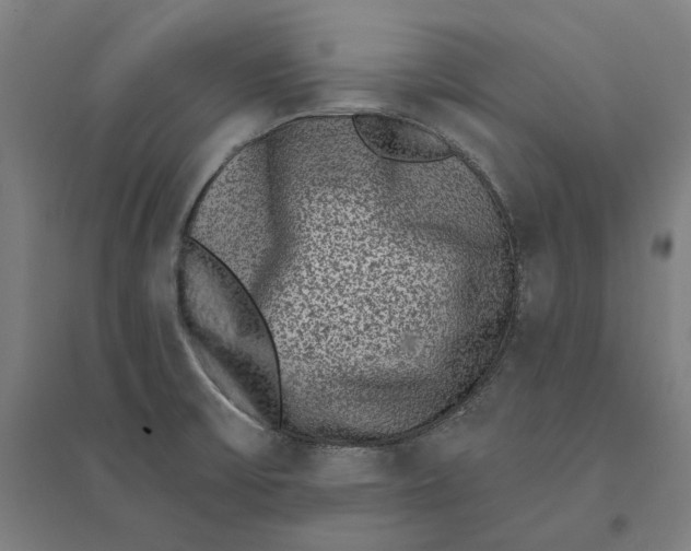 X0000095131475200712301813