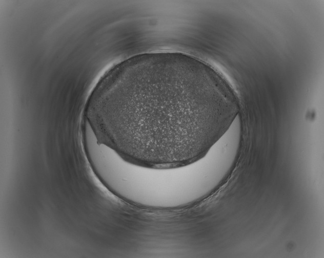 X0000095131476200712301813