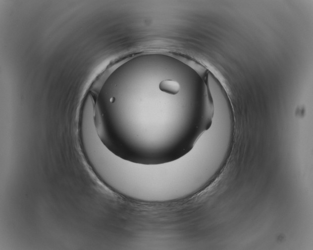 X0000095131477200712301813