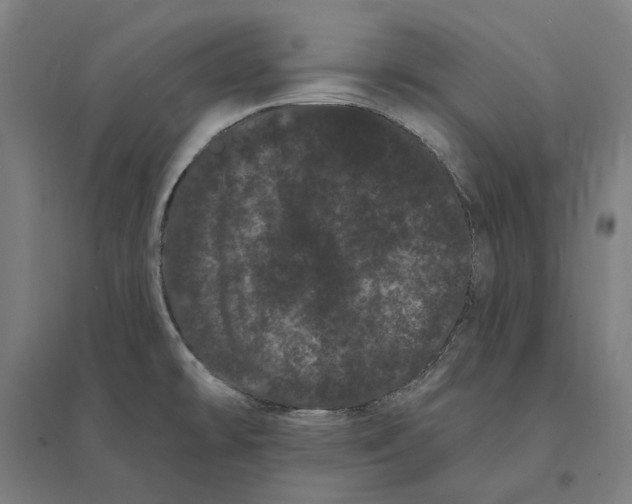 X0000095131478200712301813