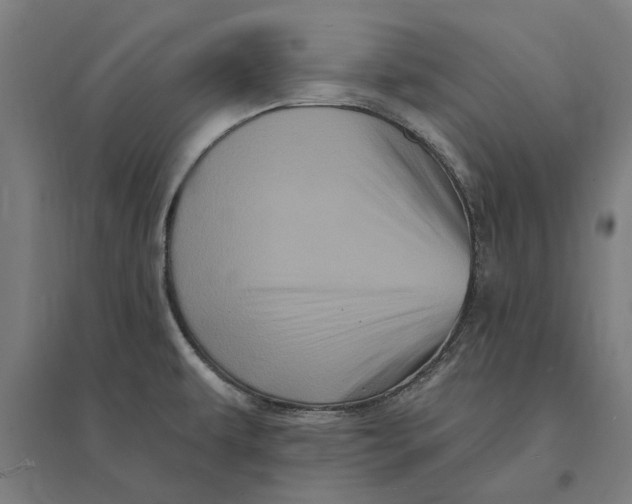 X0000095131479200712301813