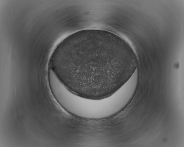 X0000095131480200712301813