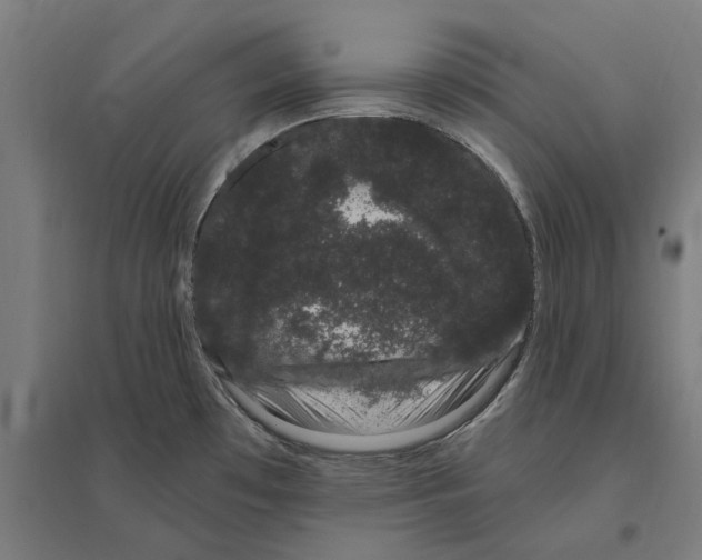 X0000095131481200712301813