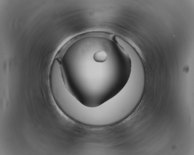 X0000095131484200712301813