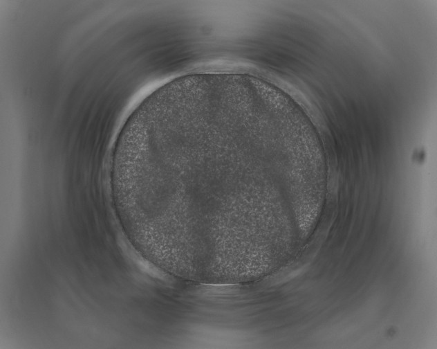 X0000095131486200712301813