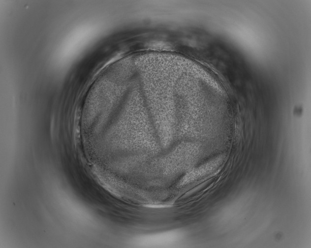 X0000095131487200712301812