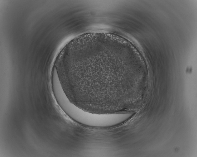 X0000095131488200712301812