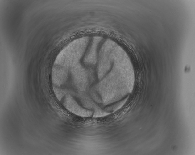 X0000095131489200712301812