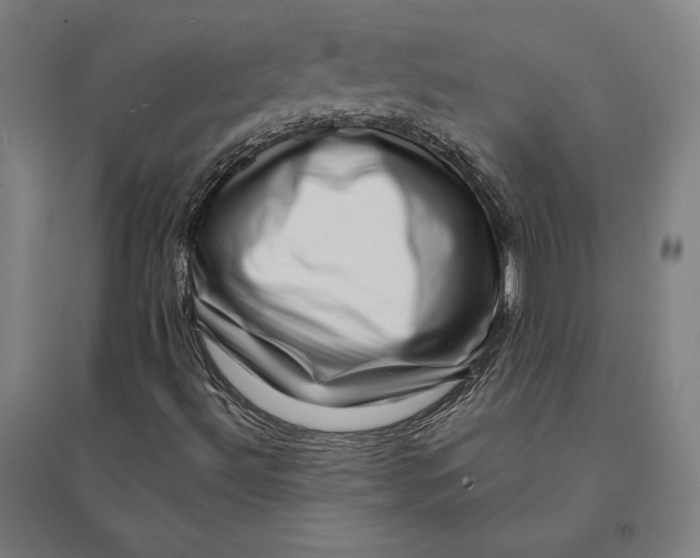 X0000095131492200712301812