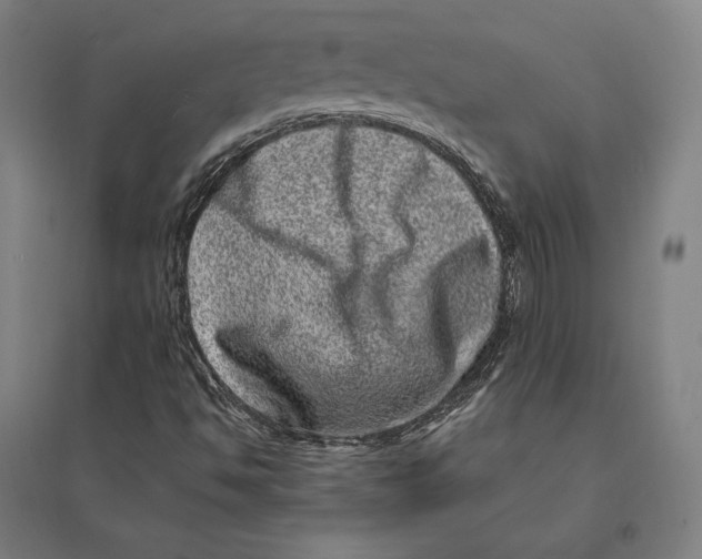 X0000095131494200712301812