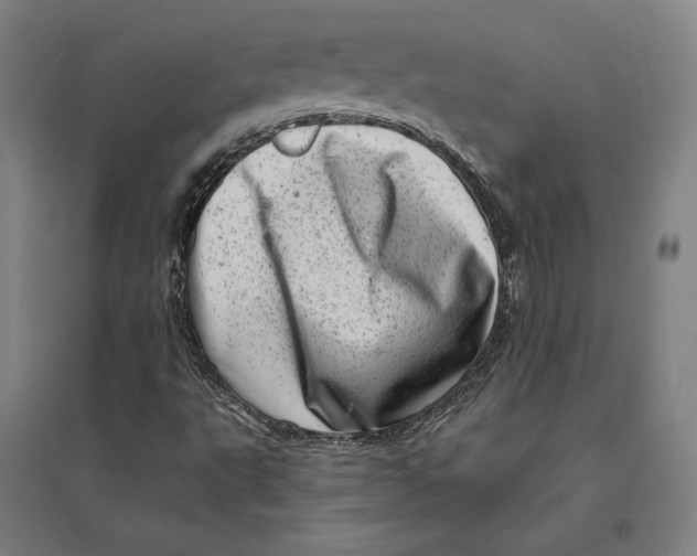 X0000095131495200712301812