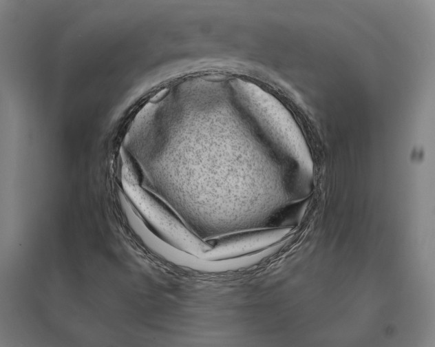 X0000095131496200712301812