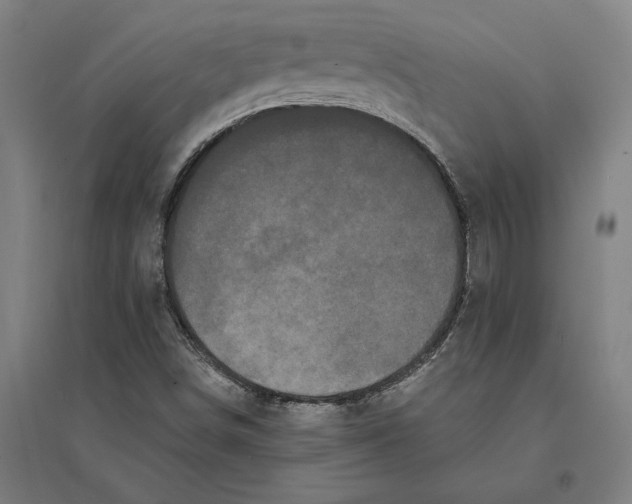 X0000095131498200712301812