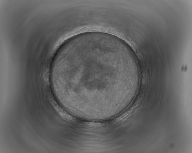 X0000095131499200712301812