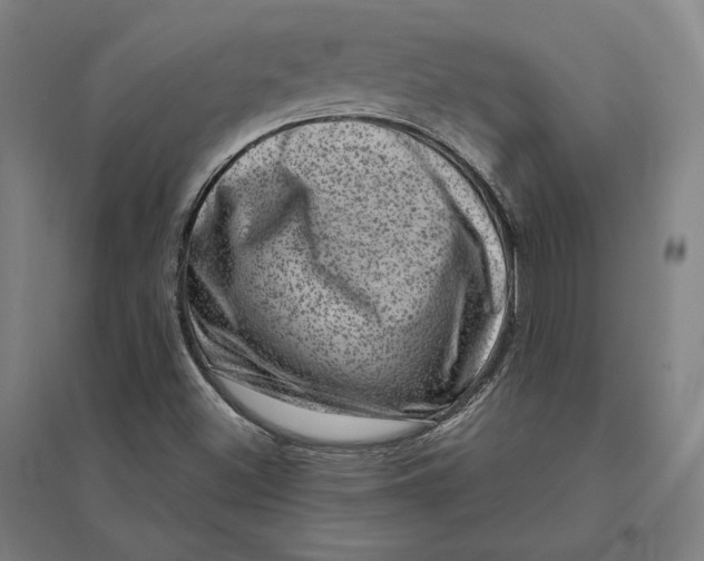 X0000095131500200712301812