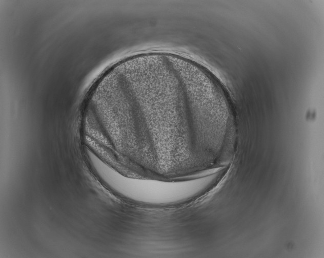 X0000095131502200712301812