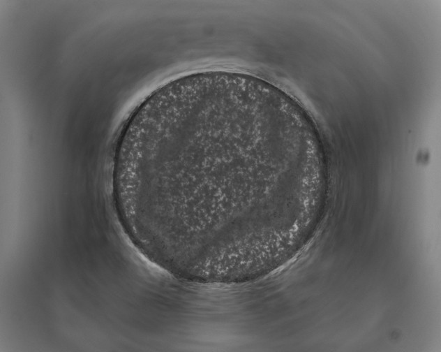 X0000095131504200712301812