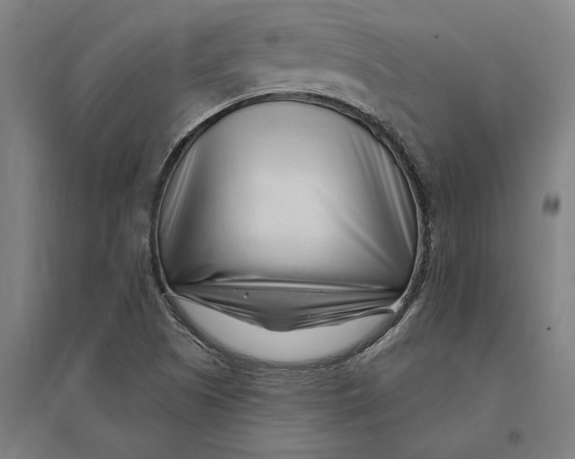 X0000095131505200712301812