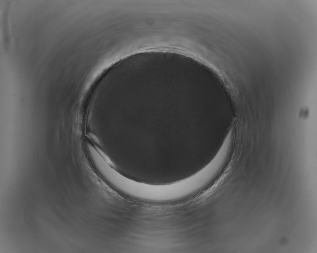 X0000095131506200712301812