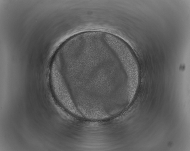 X0000095131507200712301812