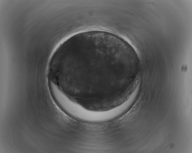 X0000095131508200712301812