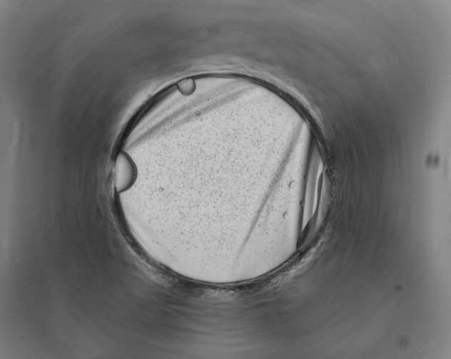 X0000095131509200712301812