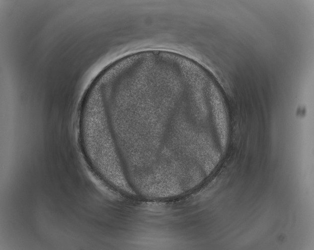 X0000095131511200712301812