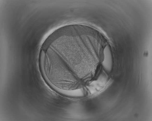 X0000095131512200712301812