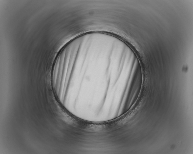 X0000095131513200712301812