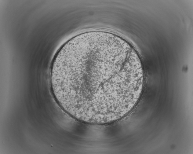 X0000095131514200712301812