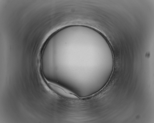 X0000095131515200712301812