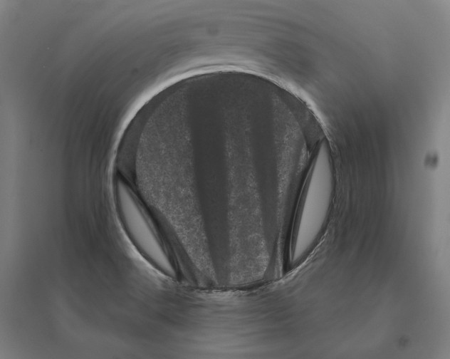 X0000095131516200712301812