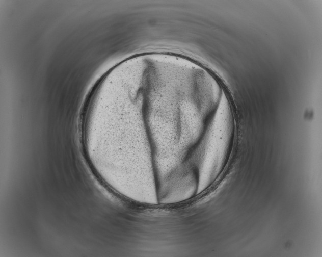 X0000095131517200712301812