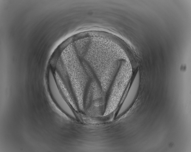 X0000095131518200712301812