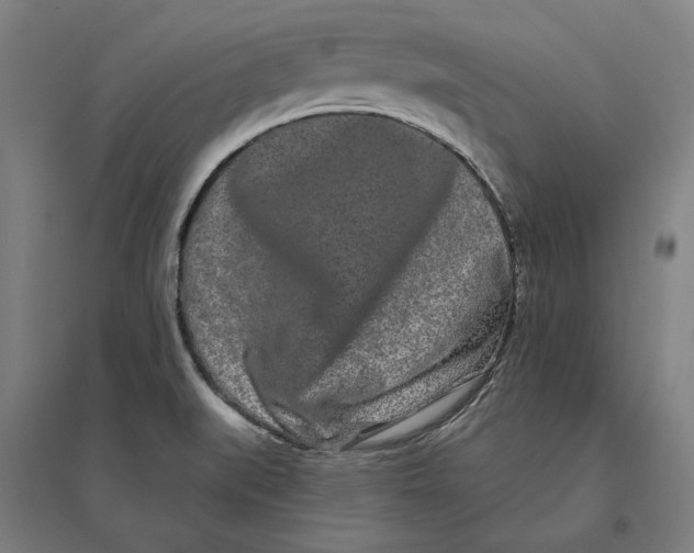 X0000095131519200712301812