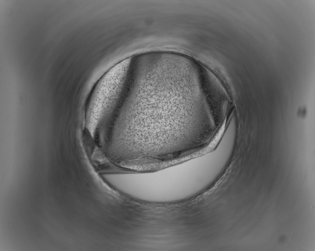 X0000095131520200712301812