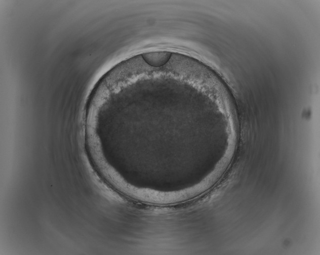 X0000095131522200712301812