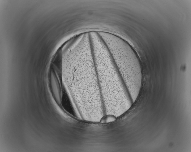 X0000095131523200712301812