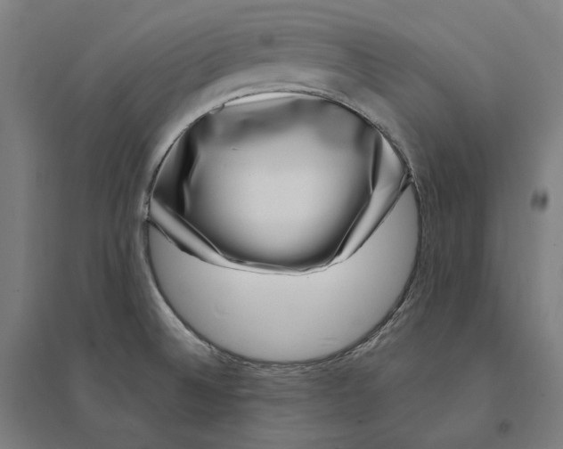 X0000095131524200712301812