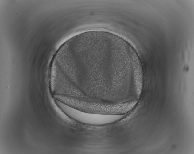 X0000095131526200712301812