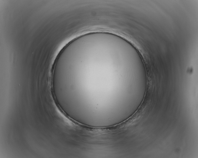 X0000095131527200712301812